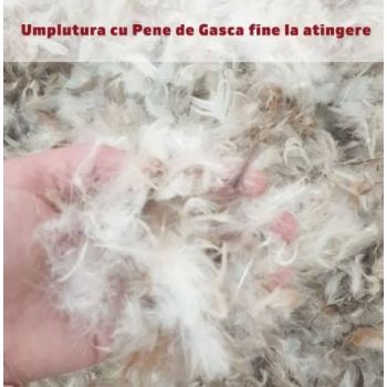 Umplutura Perne, Puf si Pana de gasca calitate premium 40Kg