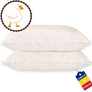Set de 2 Perne cu puf si pana de gasca, 40x40, 40,60x60 , 50,70 x 70cm , alb cu trandafiri argintii